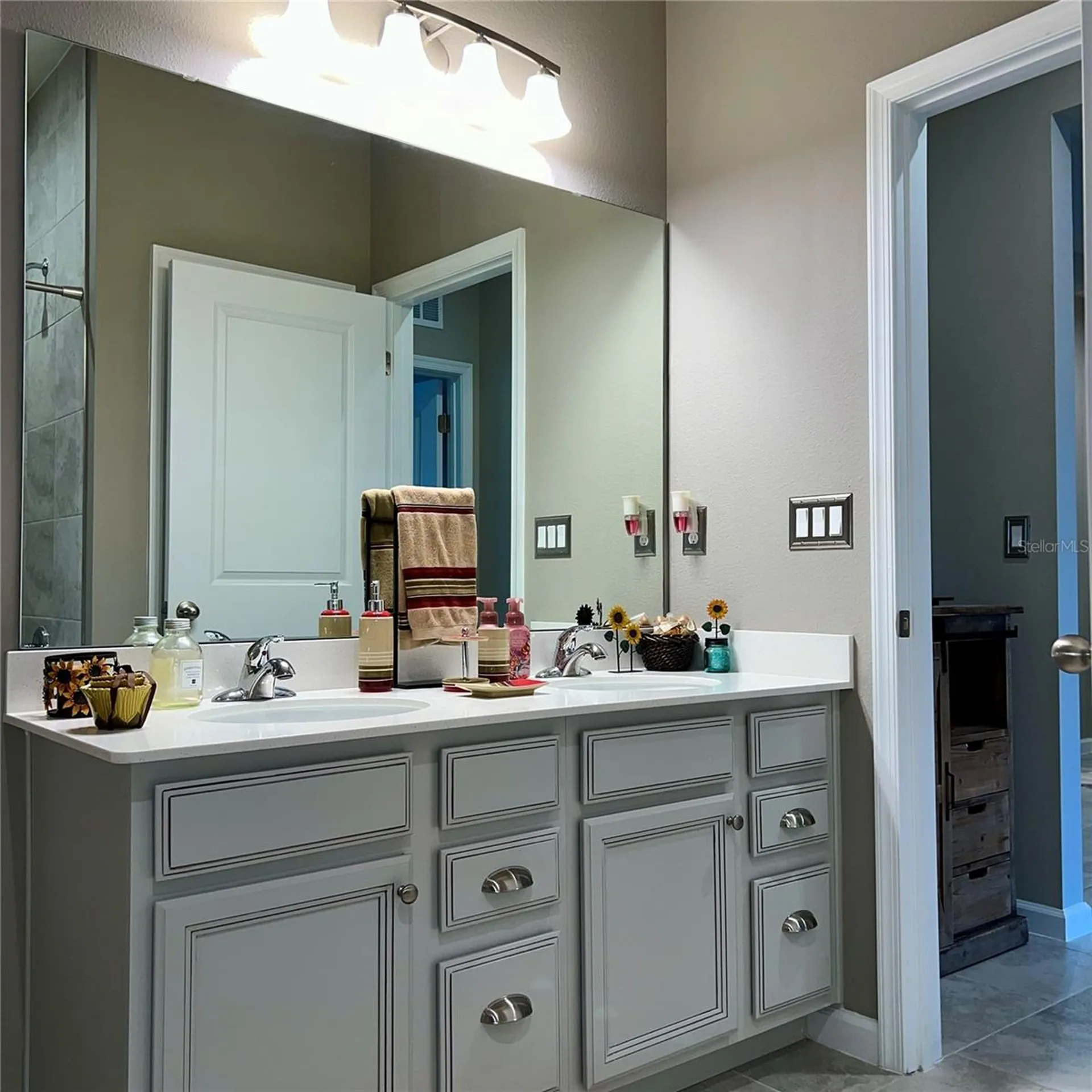456 Winter Solstice Lane Mount Dora FL 32757