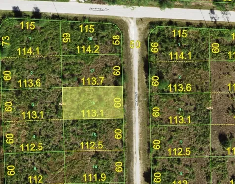 13213 Bissell Drive Punta Gorda FL 33955