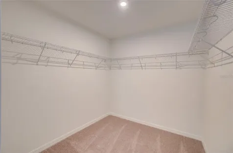 12807 Trovita Drive Grand Island FL 32735