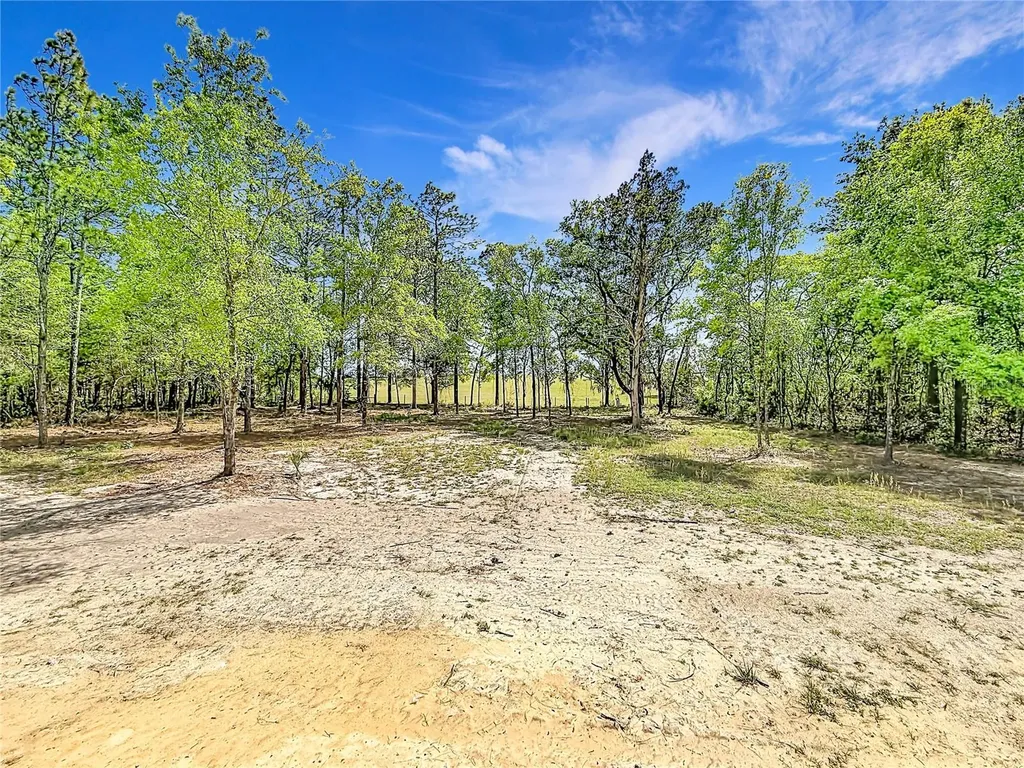 23360 SW Tiger Lake Boulevard Dunnellon FL 34431