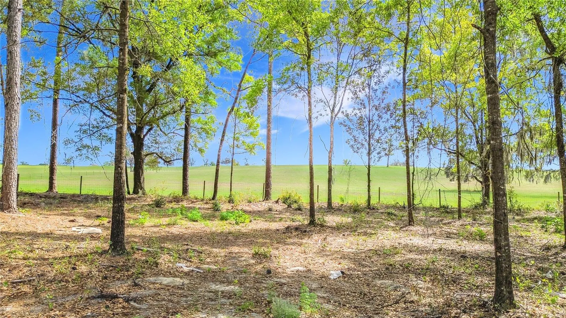 23360 SW Tiger Lake Boulevard Dunnellon FL 34431