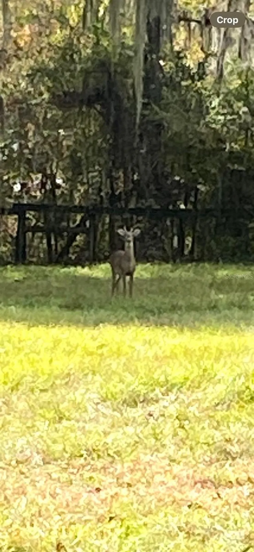 0 N Highway Us 27 Ocala FL 34482