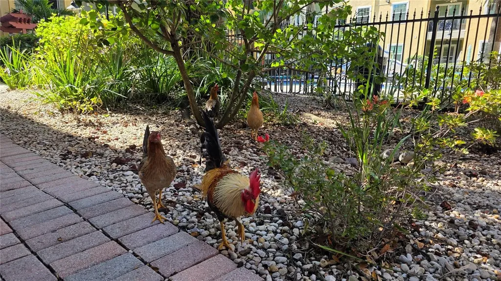 2010 E Palm Avenue Tampa FL 33605