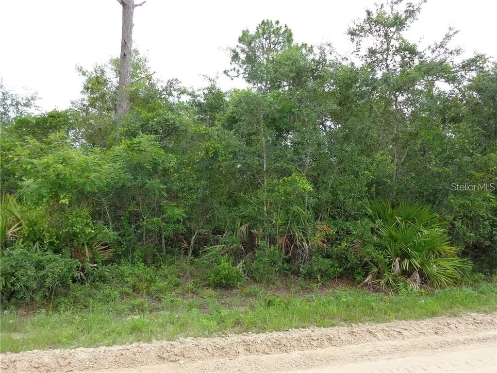 9TH Avenue Deland FL 32724