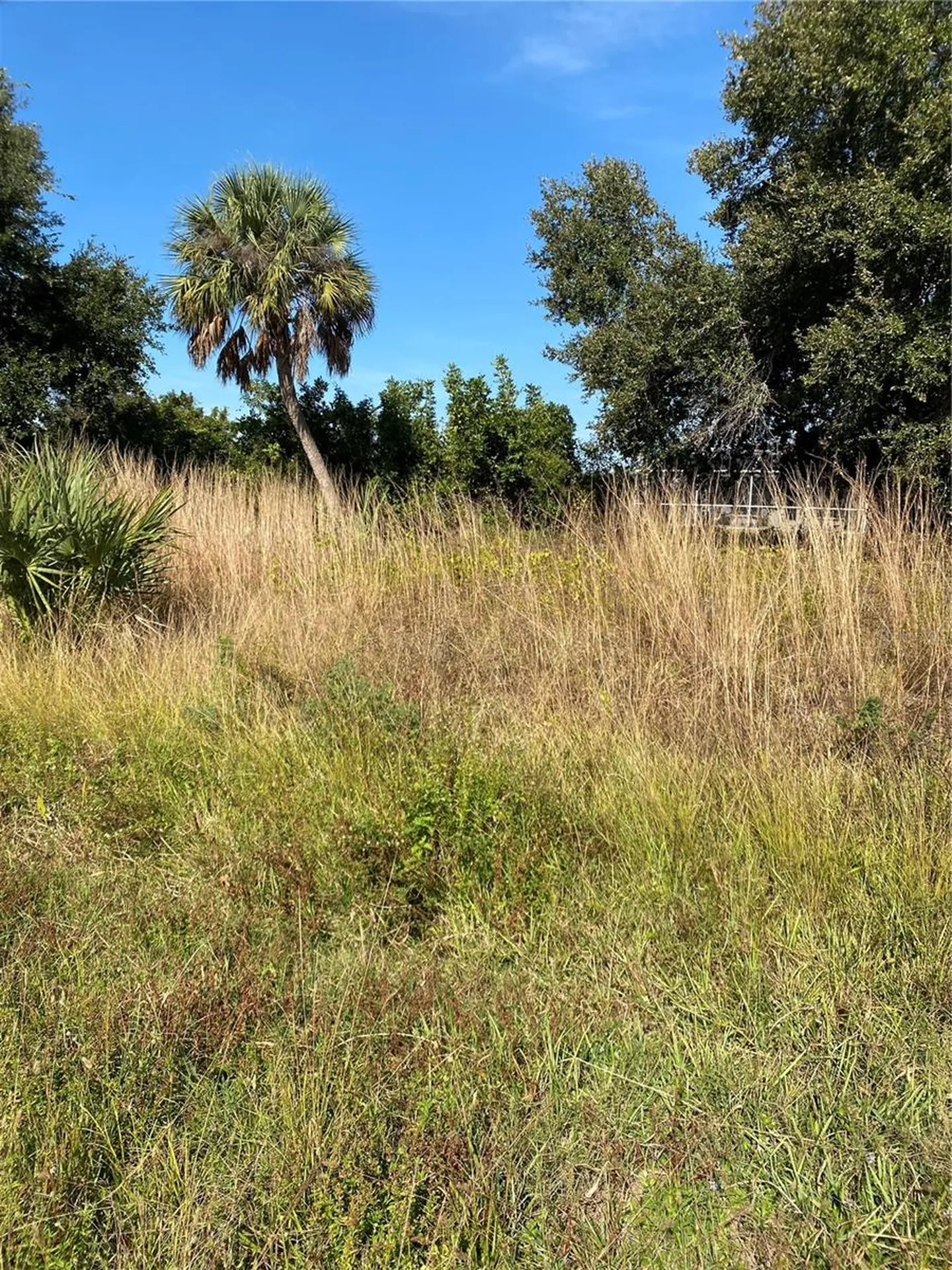 Saragossa Lane North Port FL 34287
