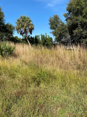 Saragossa Lane North Port FL 34287