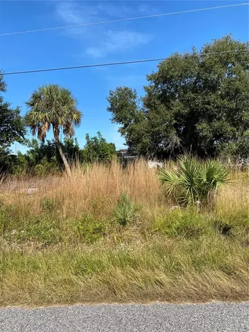 Saragossa Lane North Port FL 34287