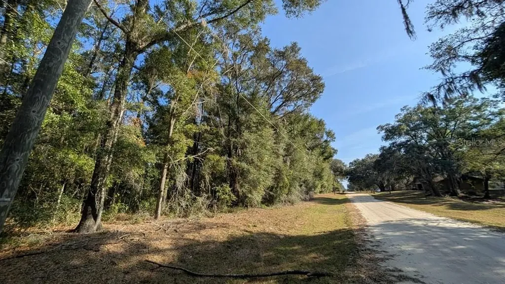 SW 111 Lane Dunnellon FL 34432