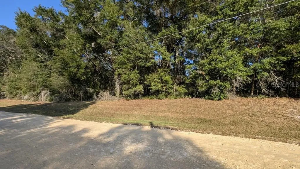 SW 111 Lane Dunnellon FL 34432
