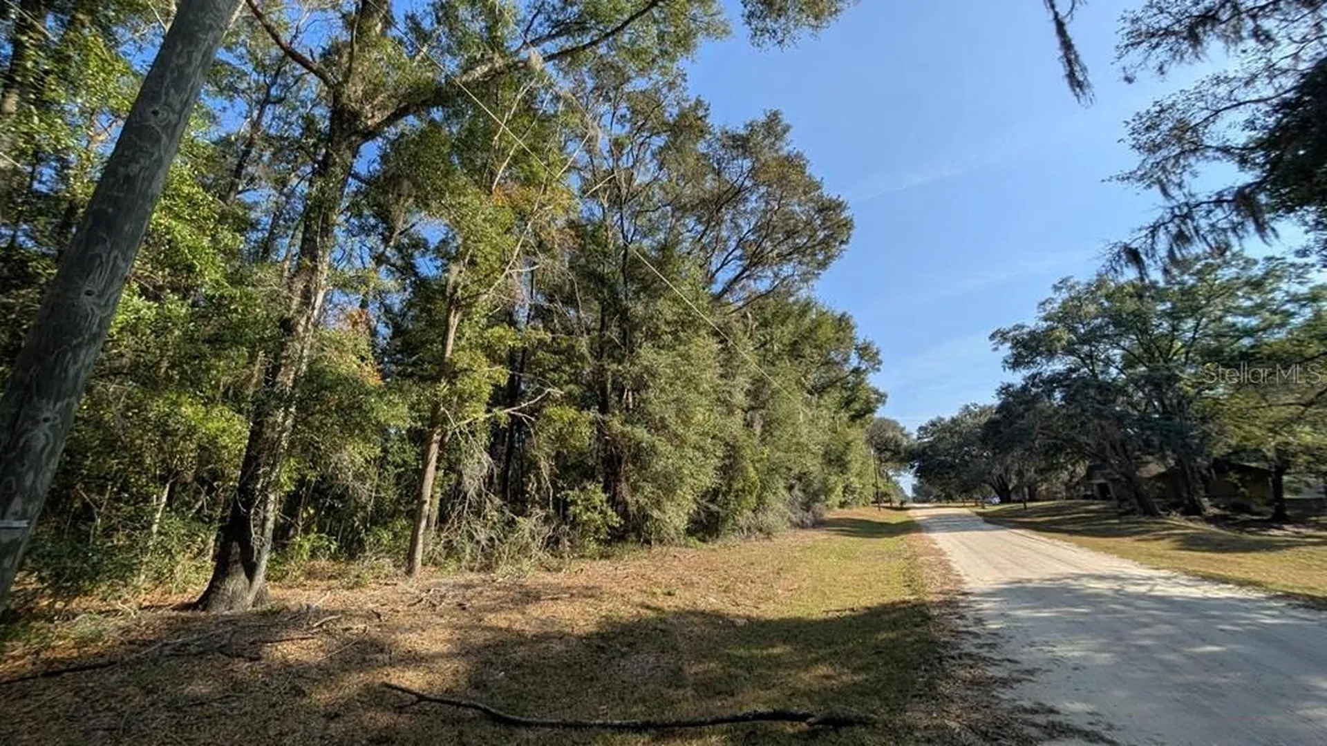 SW 111 Lane Dunnellon FL 34432