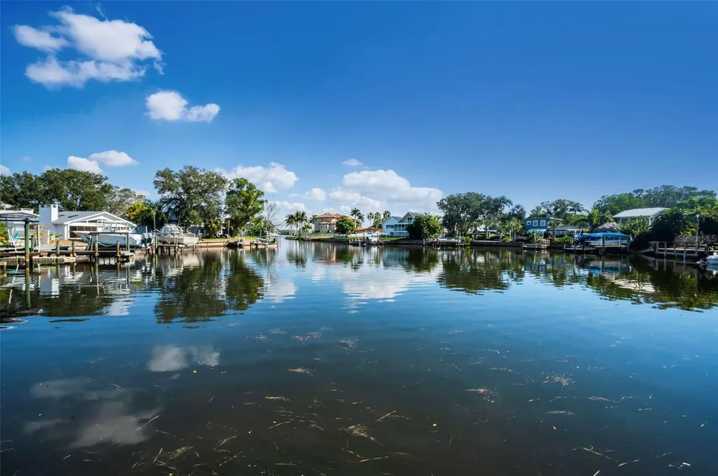 110 Carlyle Circle Palm Harbor FL 34683