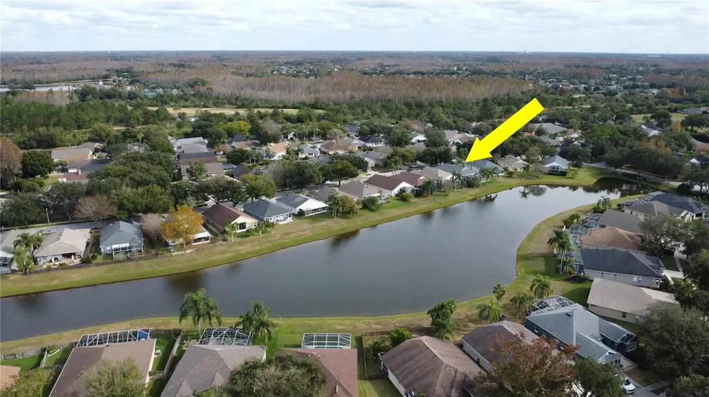 19519 Morden Blush Drive Lutz FL 33558