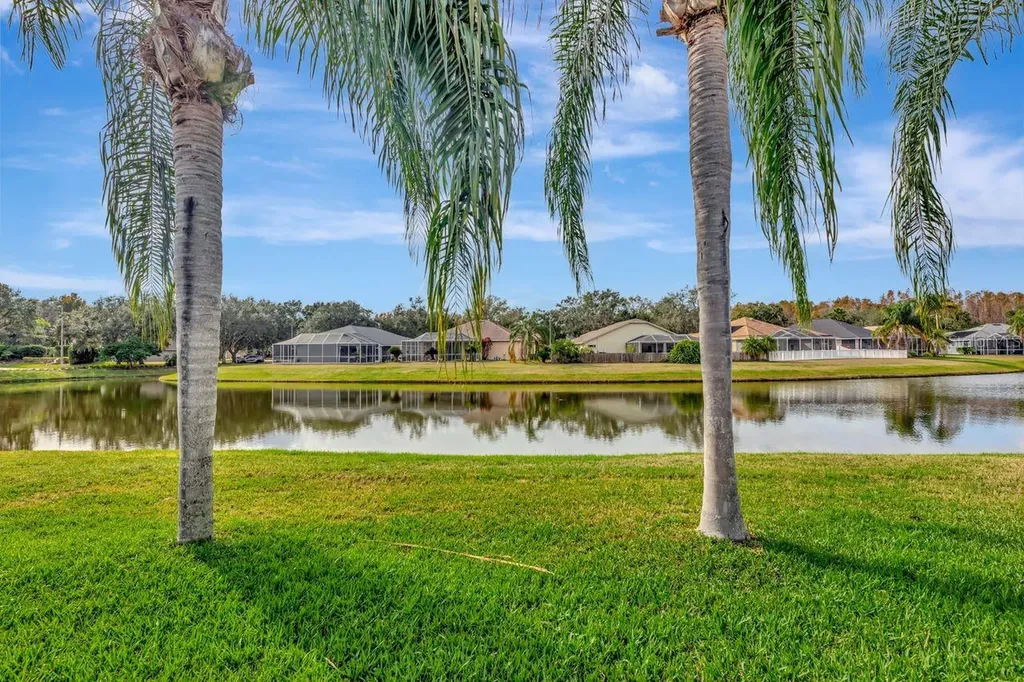 19519 Morden Blush Drive Lutz FL 33558