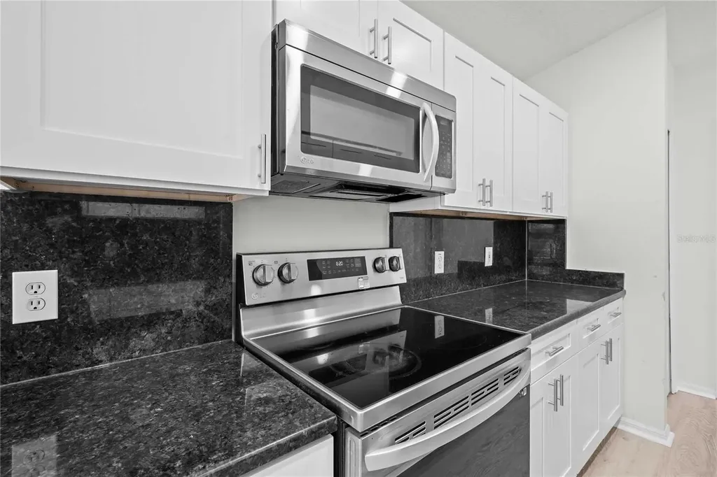19519 Morden Blush Drive Lutz FL 33558