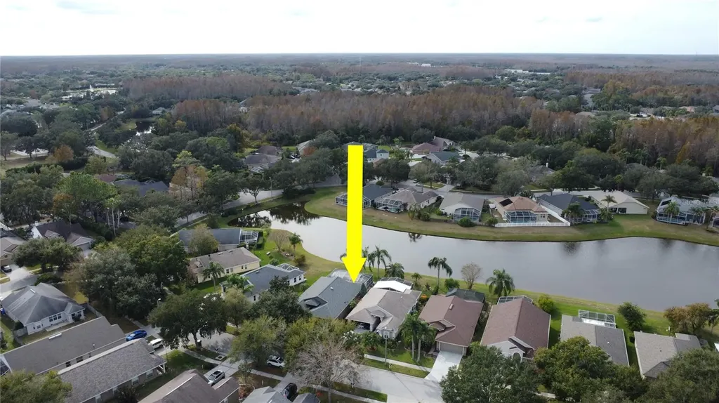 19519 Morden Blush Drive Lutz FL 33558