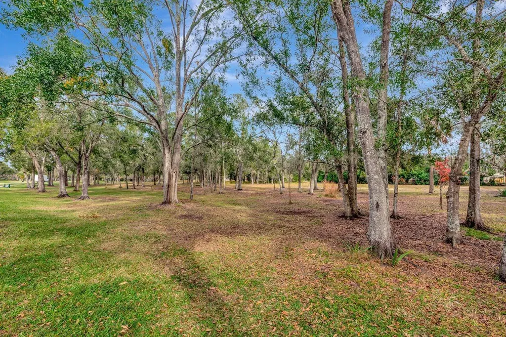 19519 Morden Blush Drive Lutz FL 33558