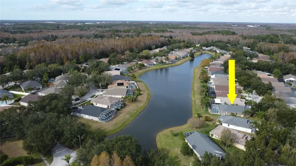19519 Morden Blush Drive Lutz FL 33558