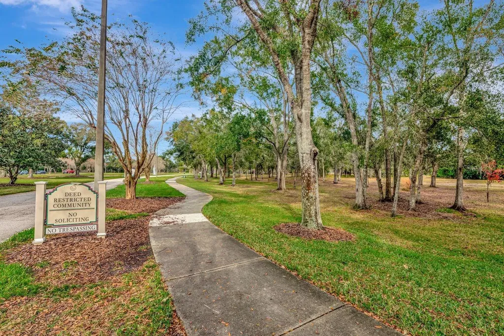 19519 Morden Blush Drive Lutz FL 33558