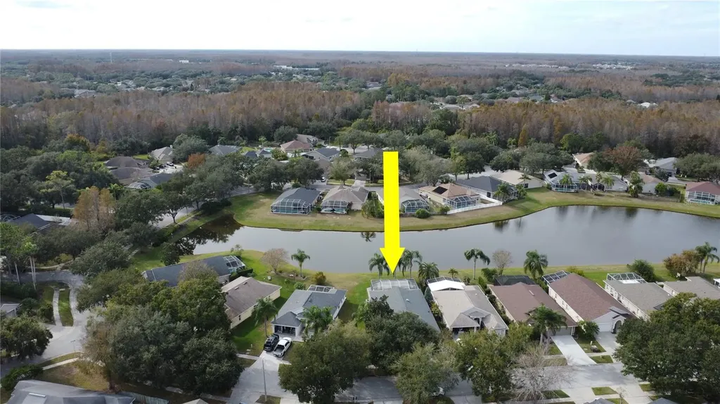 19519 Morden Blush Drive Lutz FL 33558