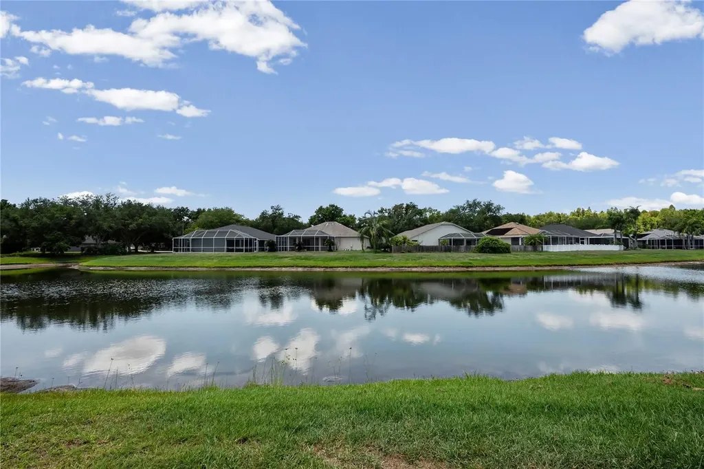 19519 Morden Blush Drive Lutz FL 33558