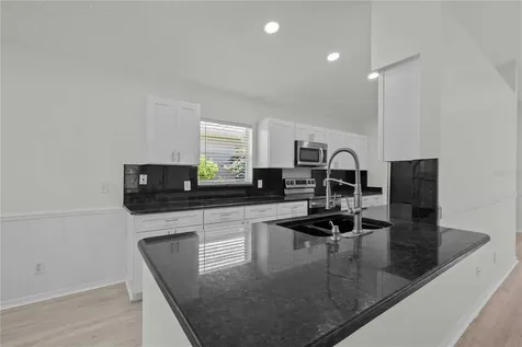19519 Morden Blush Drive Lutz FL 33558