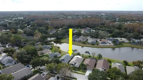 19519 Morden Blush Drive Lutz FL 33558