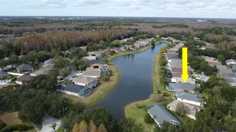19519 Morden Blush Drive Lutz FL 33558