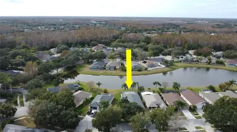 19519 Morden Blush Drive Lutz FL 33558