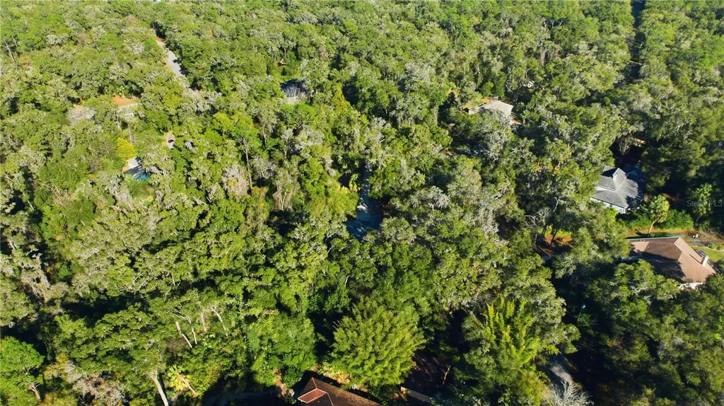 Lot 6 SW 186th Circle Dunnellon FL 34432