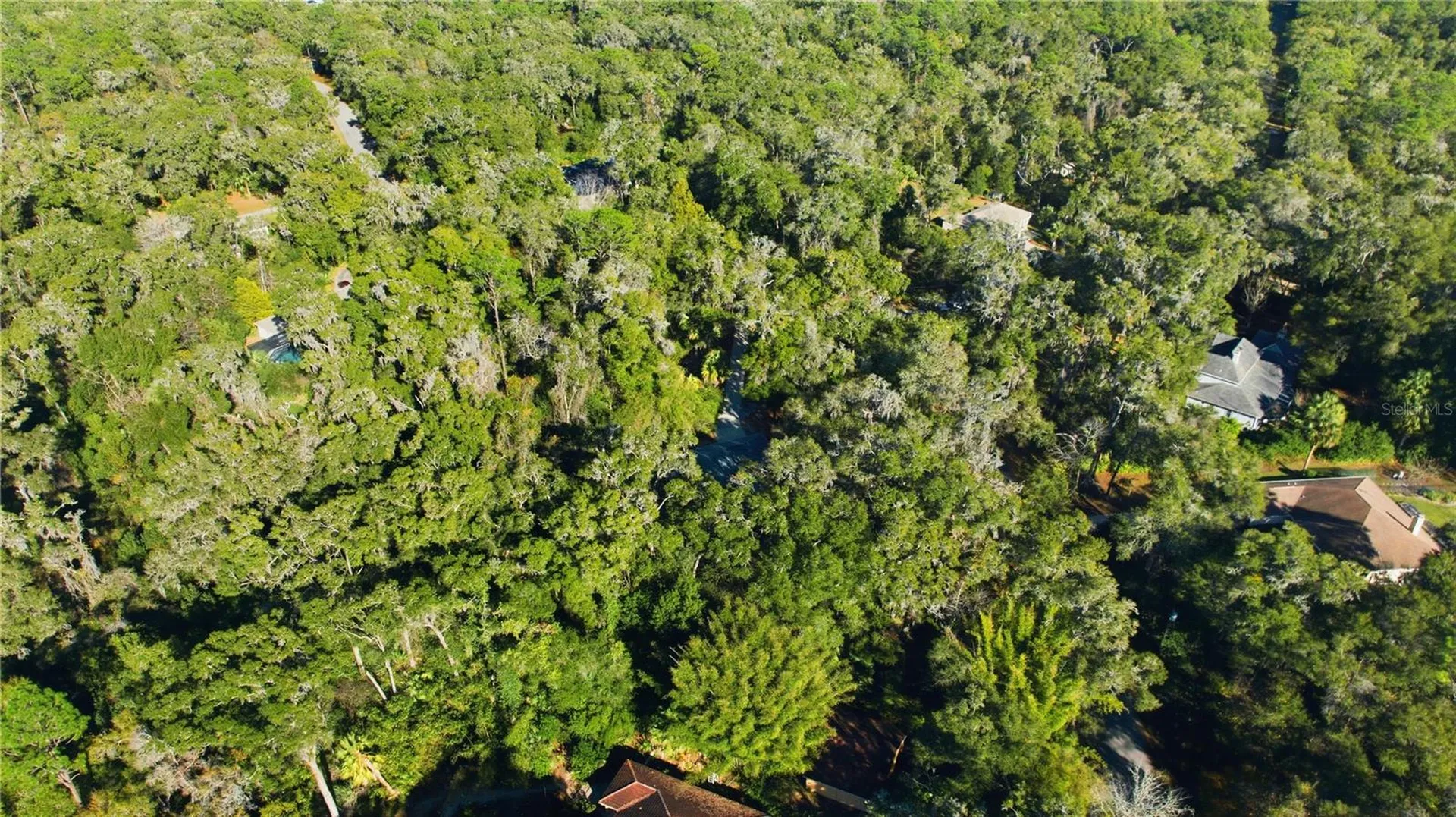 Lot 6 SW 186th Circle Dunnellon FL 34432
