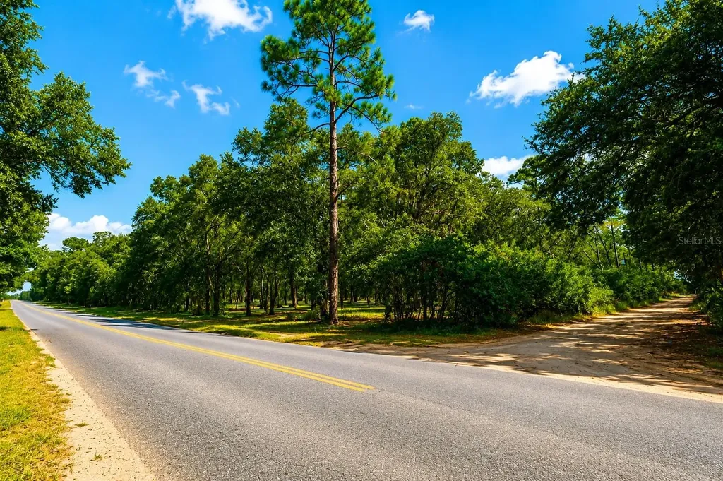 Rolling Ares Road W Lady Lake FL 32159