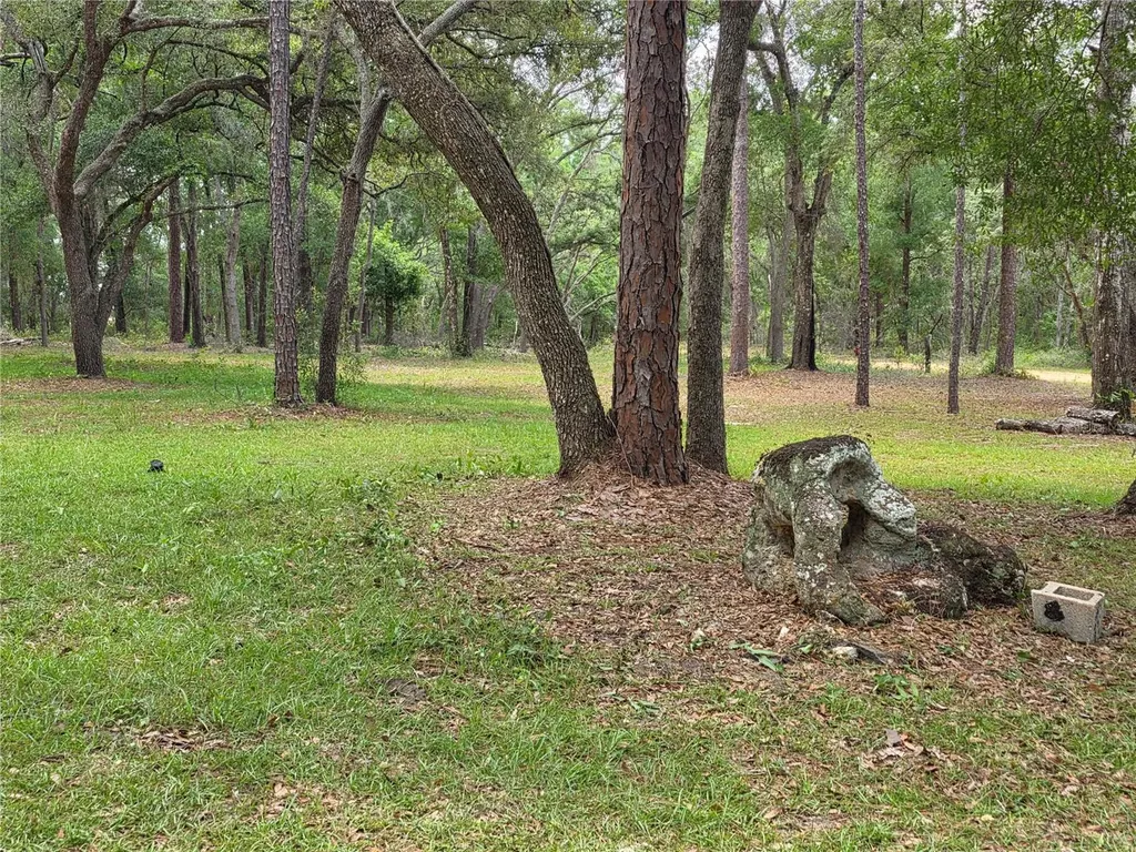 Rolling Ares Road W Lady Lake FL 32159