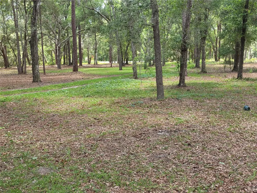 Rolling Ares Road W Lady Lake FL 32159