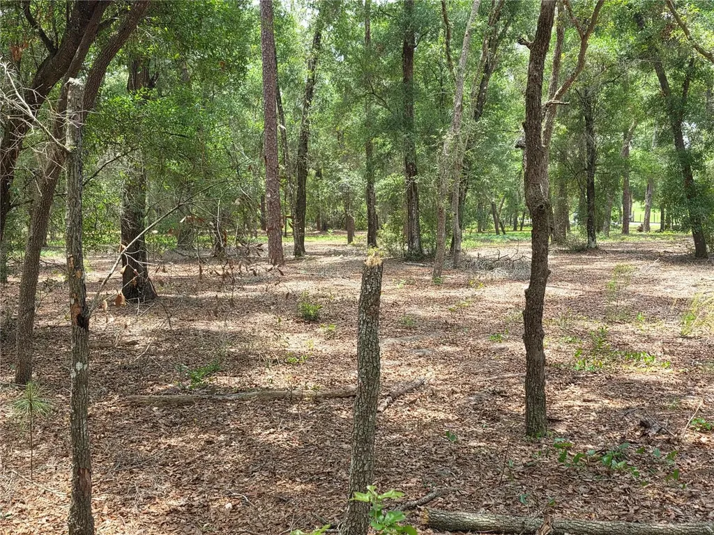 Rolling Ares Road W Lady Lake FL 32159