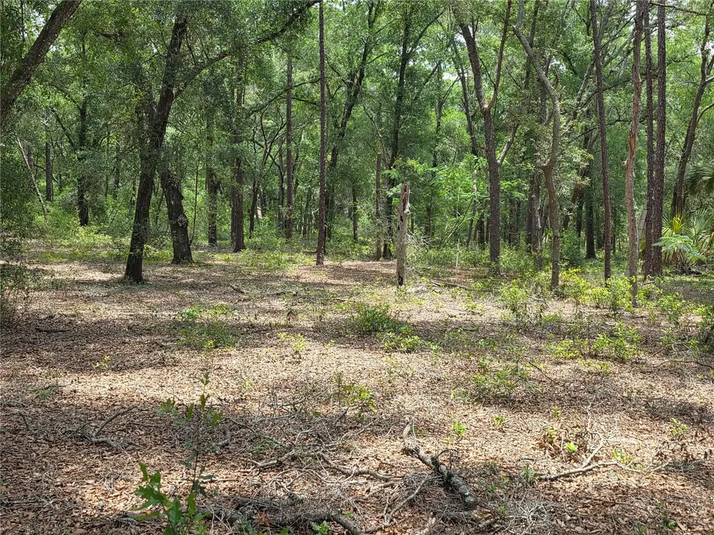 Rolling Ares Road W Lady Lake FL 32159