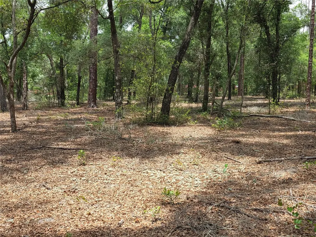 Rolling Ares Road W Lady Lake FL 32159