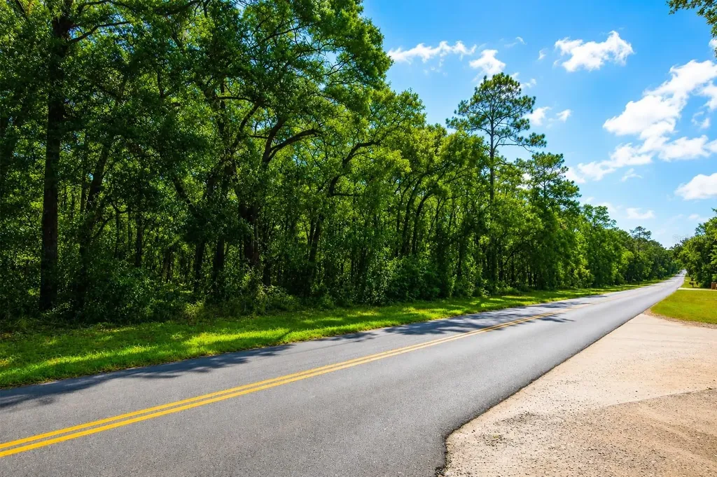 Rolling Ares Road W Lady Lake FL 32159