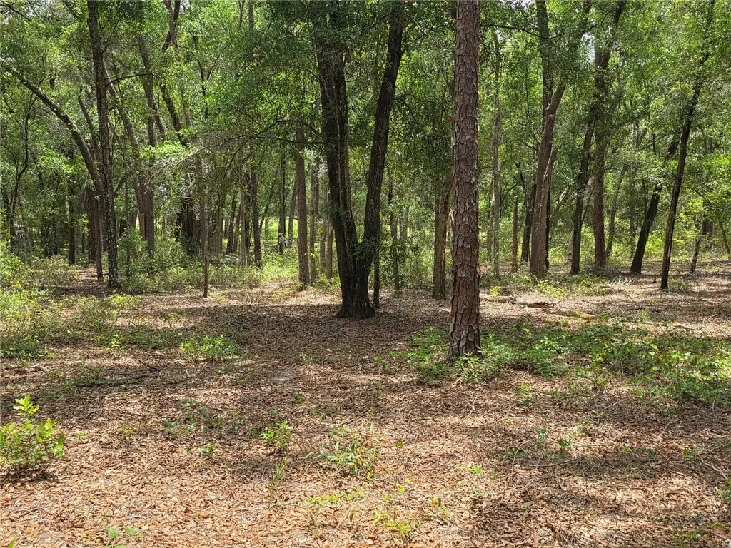 Rolling Ares Road W Lady Lake FL 32159