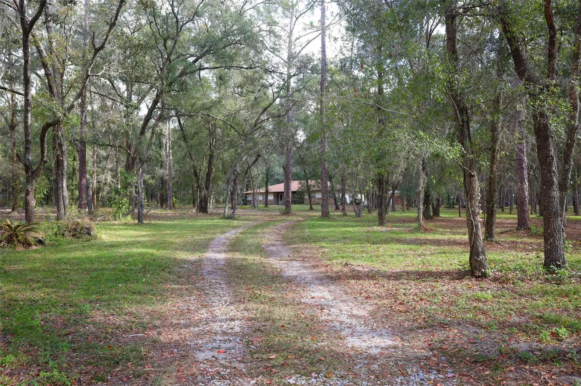Rolling Ares Road W Lady Lake FL 32159