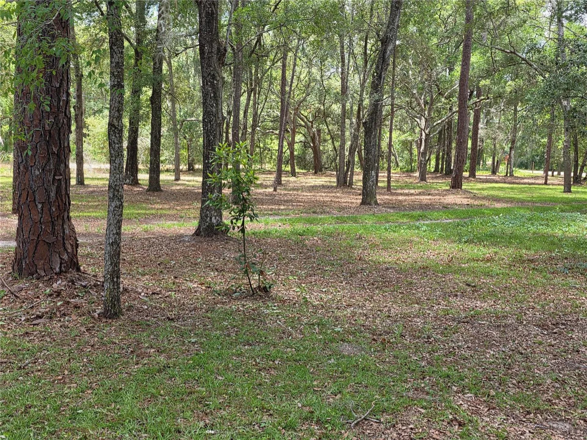 Rolling Ares Road W Lady Lake FL 32159