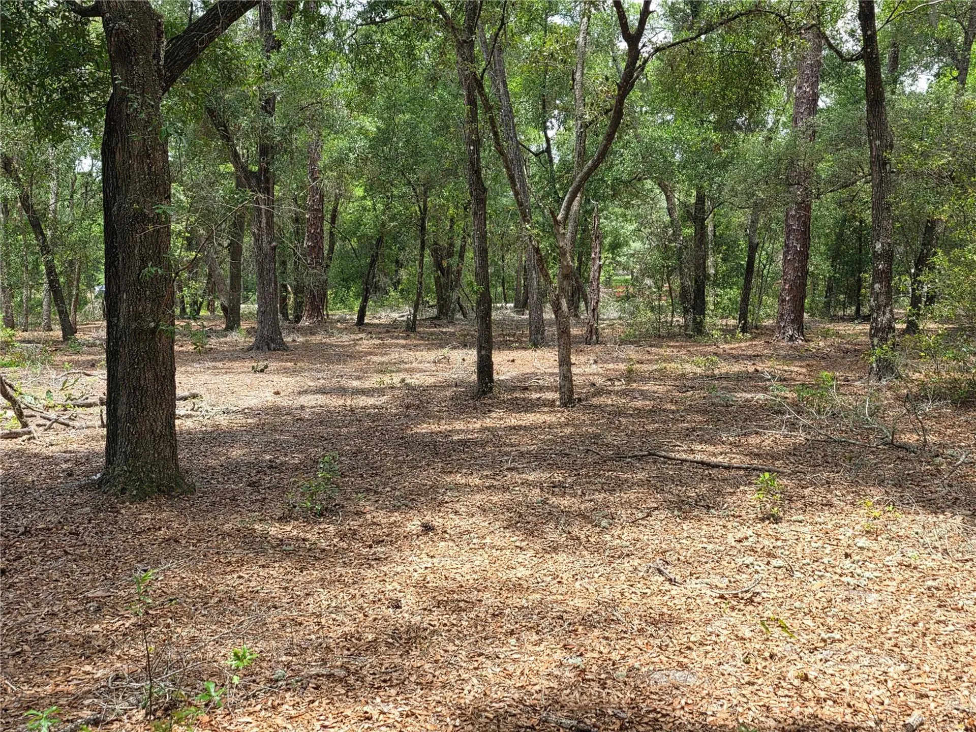 Rolling Ares Road W Lady Lake FL 32159