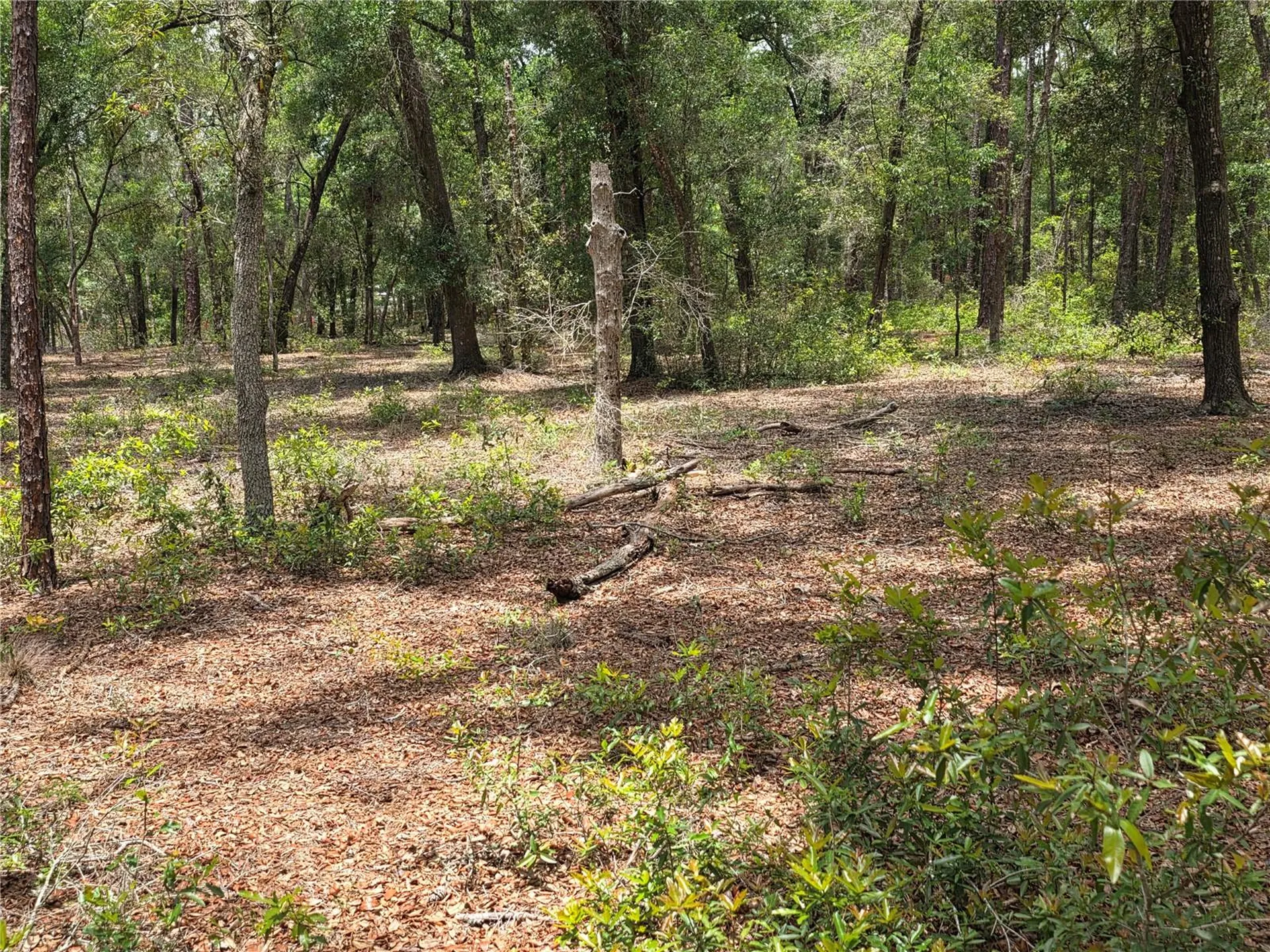 Rolling Ares Road W Lady Lake FL 32159