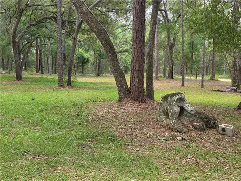 Rolling Ares Road W Lady Lake FL 32159