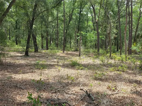 Rolling Ares Road W Lady Lake FL 32159