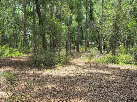 Rolling Ares Road W Lady Lake FL 32159