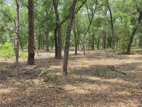 Rolling Ares Road W Lady Lake FL 32159