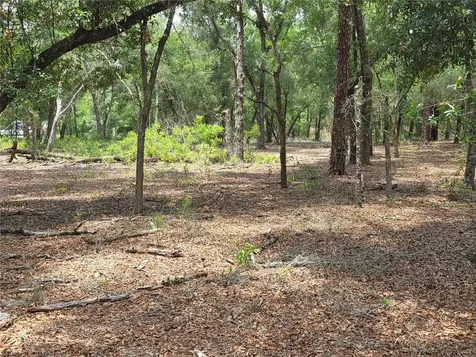 Rolling Ares Road W Lady Lake FL 32159