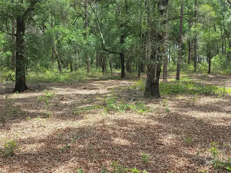 Rolling Ares Road W Lady Lake FL 32159