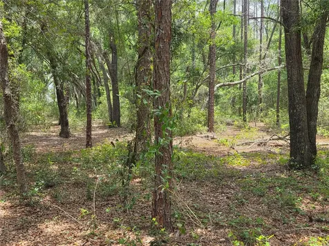 Rolling Ares Road W Lady Lake FL 32159
