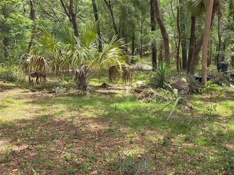 Rolling Ares Road W Lady Lake FL 32159